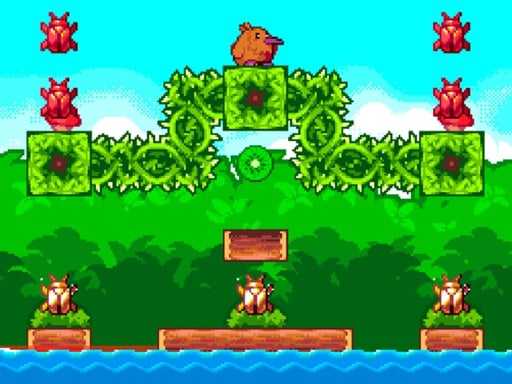 Super Kiwi Adventure   2021 